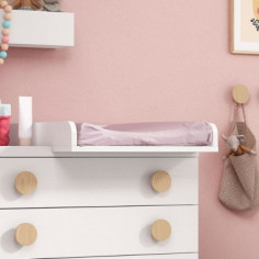 CANVIADOR MOD.3465 ROS