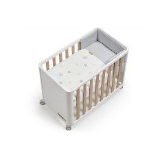 MOISES-COLLIT DOCO STYLE...