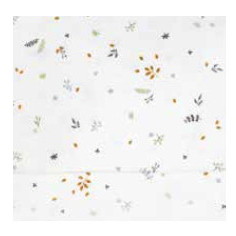 JOC MOISES 3p.COTO...