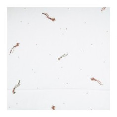 JOC MOISES 3p.COTO...