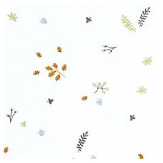 LLENÇOL AJUST.PUNT 50*90...