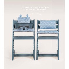 SET 3 COIXINS EVOL IMPER...