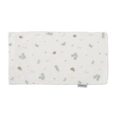 SECA BABAS ARDI VERDE...